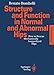 Structure and Function in Normal and Abnormal Hips: How to Rescue Mechanically Jeopardized Hips