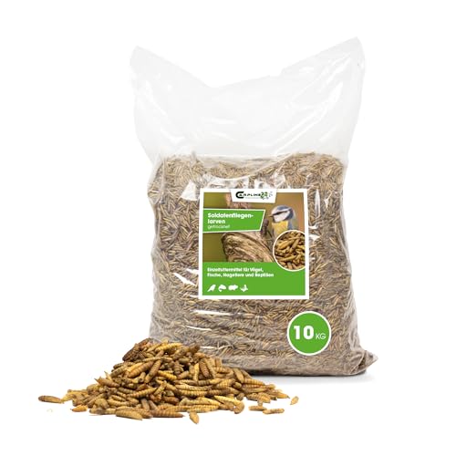 Carpline24 Soldatenfliegenlarven getrocknet 10 Kg - Proteinreiche Insekten - Vogelfutter - Futter für Reptilien Nager Igel & Fische