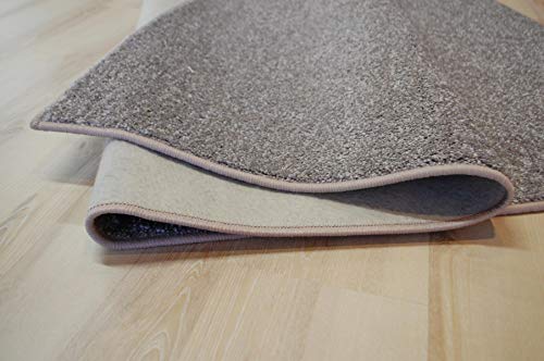 Miami Teppich Taupe beige Velours umkettelt - Verschiedene Größen (250 x 350 cm)