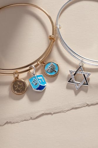 Alex and Ani Start of David Single Charm Bangle3