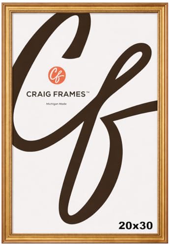 Craig Frames 20x30 Picture Frame – Gold Ornate Style,...