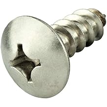 Everbilt License Plate Screws, Stainless Steel, 1/4 in x 3/4 in, 2-Pack