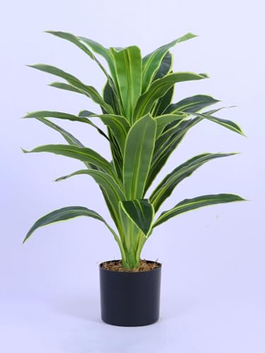 Image of ARICK DECOR 3Ft Artificial Variegated Dracaena Plant in Pot, 3ft Realistic Faux Song of India Tree, White Green Peacock Shaped Floor Plant for Home & Office