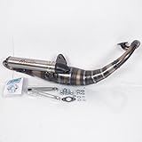  Tubo D Escape Giannelli Scooter Yamaha 50 Aerox 1997 a 2012 31605rk Neuf