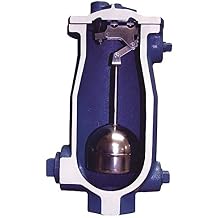 Air Vac Valve, FNPT, 2 x 1/2, CI