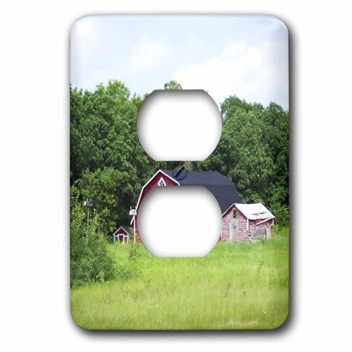 Bouchon de prise pour cacher les fixations murales blanches et ternes
