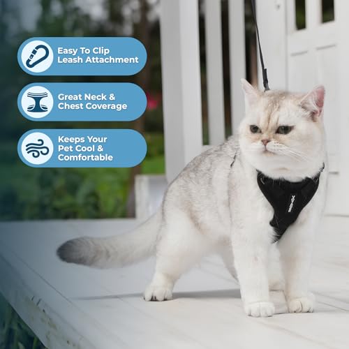 Image of Voyager Escape-Proof Step-in Lock Cat Harness & 5ft Neoprene-Handle Leash Set All-Weather Mesh with Reflective Stitching for Small to Large Cats by Best Pet Supplies, Black, XXS