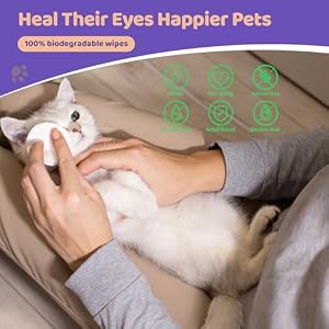 Eyes Wipes for Dog & Cat - Dog Eye Wipes Tear Stain Remover, Soft Pet Wipes for Gently Cleaning Eyes - Coconut Oil Pet Cleaning Grooming Deodorizing Wipes for Eyes, Face, Wrinkle Eyes Wipes for Dog & Cat – Dog Eye Wipes Tear Stain Remover, Soft Pet Wipes for Gently Cleaning Eyes – Coconut Oil Pet Cleaning Grooming Deodorizing Wipes for Eyes, Face, Wrinkle