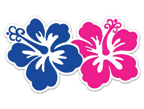 【pink hawaii】 Kawasaki Ninja ZX-10R Pink - The Ultimate Sportbike | TikTok