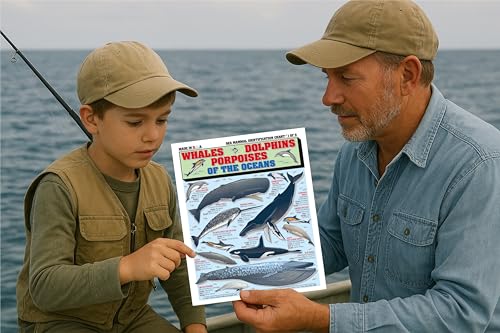 Image of Sea Mammal Identification Set (Whales, Dolphins, Porpoises, Seals, Sea Lions, Manatees) - Waterproof Quick Reference Guide | Portable & Built to Last | Double-Sided & Easy to Read | Portable Reference Cards, (Whales, Dolphins, Sea Lions, Seals, Manatees), Double-Sided, Perfect Boating Gift for Beginners