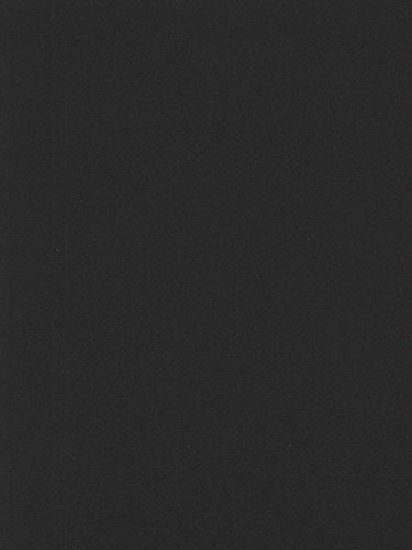 Canson Mi-Teintes Mat Board stygian Black 16 in. x 20 in. [Pack of 5 ]