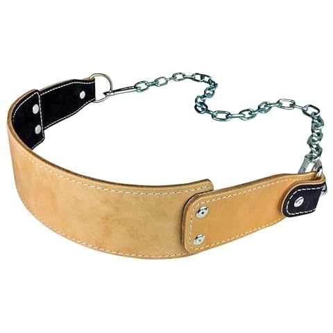 Dominion Strength Training Black Suede Heavy-Duty Leather Dip Belt with Steel Chain - Ultimate Accessory for Weighted Pullups, Dips, and Progressive Overload (Black Suede) Cover