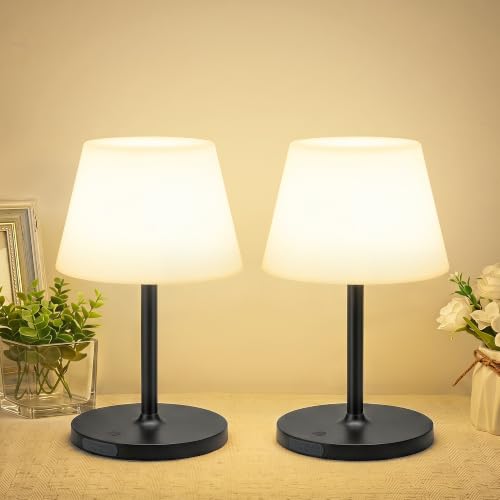 Image of 2 Pack Shower Lamp Waterproof, 6000mAh & 3 Color Temps and Stepless Dimming