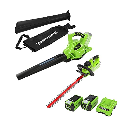 Greenworks Tools Akku-Laubsauger und Laubbläser 2in1 GD40BV &...