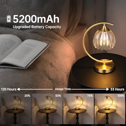 Image of Shenmoyl Set of 2 Tulip Table Lamp, 5200mAh Cordless Touch Control Table Lamp with 3 Color Temps & Stepless Dimming, Rechargeable Battery Table Lamp for Living Room, Bedroom, Shelf (Transparent Tulip)