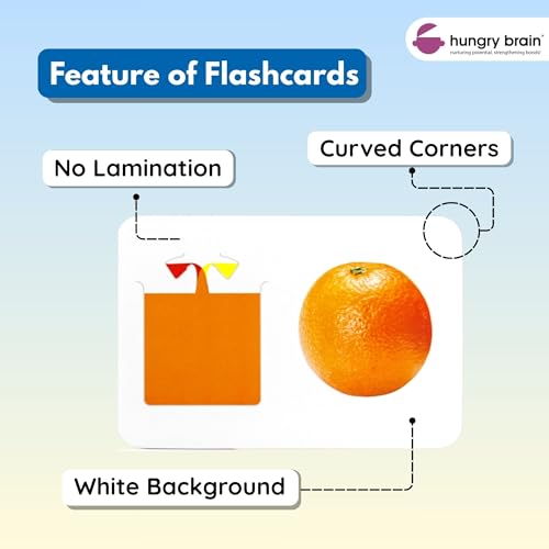 Image of Hungry Brain Flash Cards (Colours & Shapes)