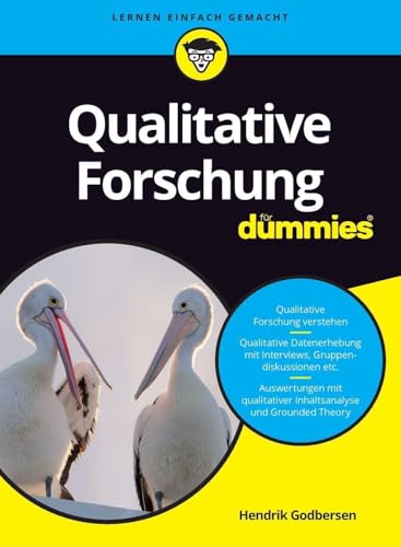 Qualitative Forschung für Dummies