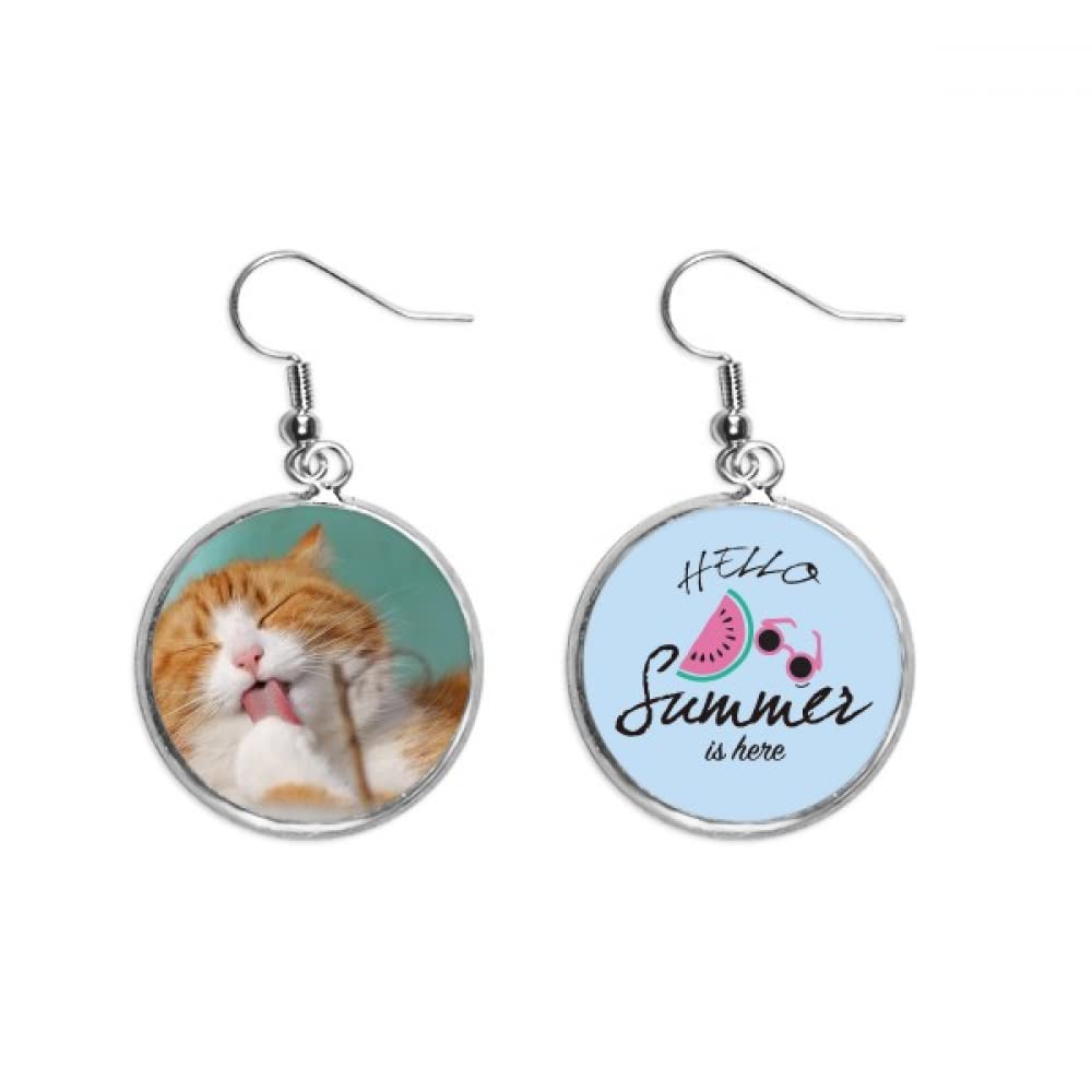Pendientes de sandía y gato amarillo el regalo veraniego perfecto 5
