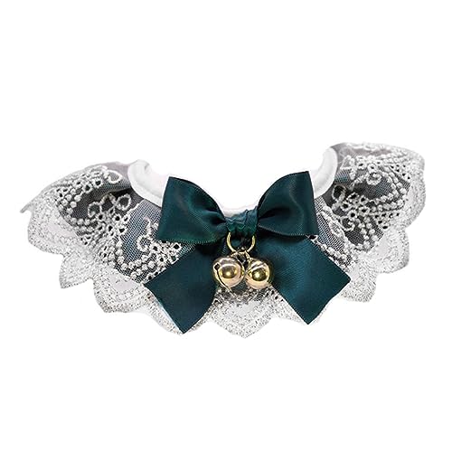 PERSELOSO \ [XfUC Lp qplbNEFA ʋCybghXpi ^ybg