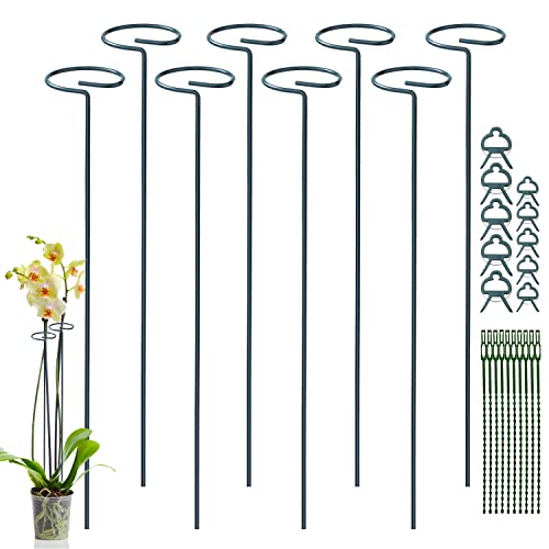 JIALWEN 8 Stück 60 cm Pflanzenstütze, Garten-Einzelstiel-Metall-Pflanzenstützpfahl mit 10 Pflanzenbindern und 10 Pflanzenklammern für Blumen, Tomaten, Lilien, Pfingstrosen, Rosen