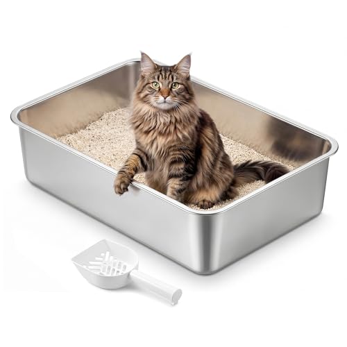Feandrea Bandeja Sanitaria para Gatos de Acero Inoxidable, Arenero Abierto con Pala, 60 x 40 x 15 cm, para Gatos Grandes, Plateado PPT019E101