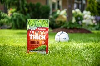 Scotts Turf Builder Quick + Thick Tough & Resilient Grass Seed Mix, 1.2kg (167 sq Meters / 1,805 sq feet Coverage) | Resilient Mix for Active Yards, Pets & Pests