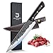 DRAGON RIOT Kochmesser profi Messer, Handgeschmiedet Japanisches Wikinger Messer, Fleischmesser extrem Scharf, Küchenmesser mit scheide, Grillmesser für Küche Camping Outdoor BBQ