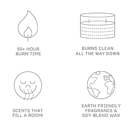 Ardent Candle Soy Candles For Home Scented - Cereal Candle Core Collection - Highly Scented Candle #TOP4