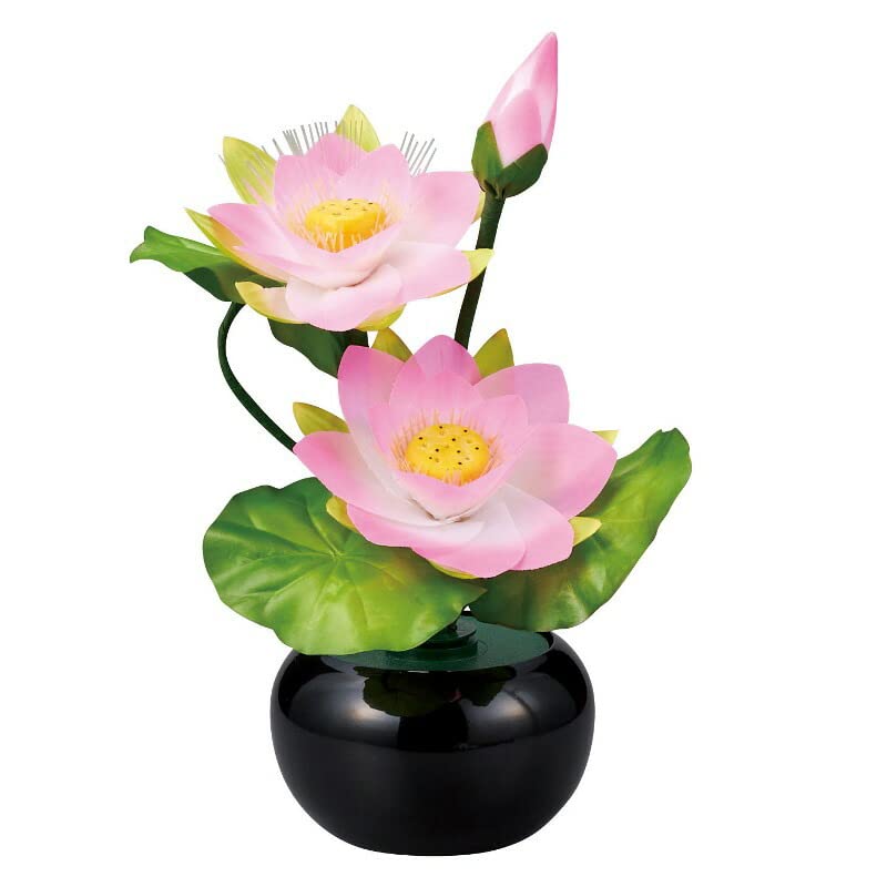 Amazon.co.jp: 盆提灯 岐阜提灯 花タイプ グランドルミナス STD