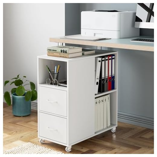HOCSOK Rollcontainer, Aktenschrank mit Schublade und Fächern, Büroschrank Lagerschrank, Beistelltisch Für Wohnzimmer, Schlafzimmer und Büro, Weiß