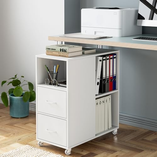 HOCSOK Caisson de Bureau 2 Tiroirs, Meuble de Rangement pour Dossier avec roulettes, Placard de Rangement Mobile, Blanc