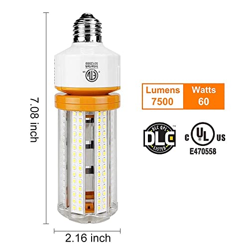 New Sunshine 2 Pack 60W Led Corn Light Bulb 7500 Lumin 600W Replacement E26 Cool Daylight White Color For Indoor Outdoor Building Appliction, 2 Count (Pack Of 1) #TOP6