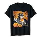 ¿Te gusta Halloween? ¿No puedes esperar a planificar tu disfraz y decoraciones? Todavía sal a pedir truco o trato y ama una fiesta de Halloween. ¡Esto es para ti!