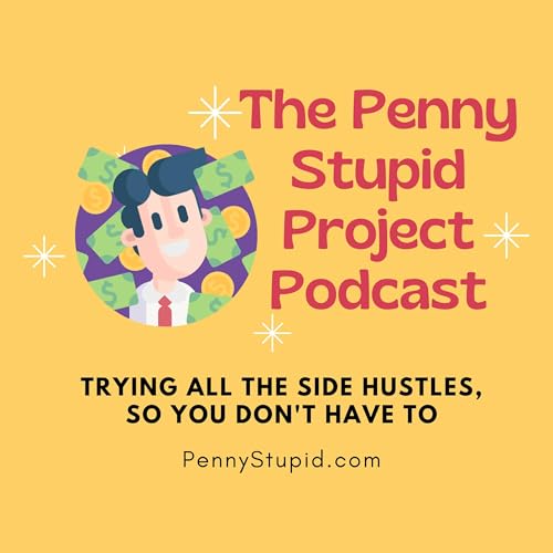 The Penny Stupid Project cover art