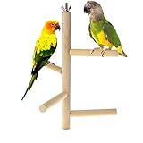 Hamiledyi Parakeet Perch,Bird Natural Wood Stand,Parrot Cage Top Wooden Branches for Standing,Toys for Small Medium Parrots Conure Budgie Lovebirds