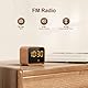REACHER Radiowecker für das Schlafzimmer, Digitale FM Radiouhr mit Weißrausch-Soundmaschine, 9 Alarmtönen, dimmbarem Display, 7 Farben Nachtlicht, Automatischem Abschalt-Timer, Snooze