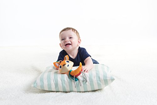 Tiny smart Renna Florence Tiny Love