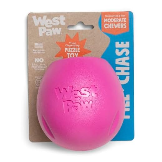 WEST PAW Zogoflex Rumbl Treat-Dispensing Dog Toy – Interactive Slow-Feeder Chew Toys for Dogs – Dog Enrichment Toy – Dog Toy for Moderate Chewers, Fetch, Catch – Holds Kibble, Treats (Hot Pink, Small)