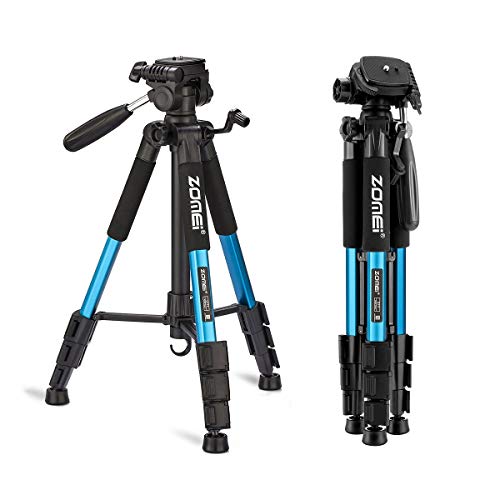 Best Folding Camera