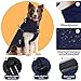 SilverChry wasserdichte Warme Hundejacke, Hundemantel Mit Geschirr Reflektierend, Hundemantel Wasserdicht Warm, Hundemantel Fleece Grosse Hunde Für Kaltes Wetter Für Hund Indoor & Outdoor Camping(M)