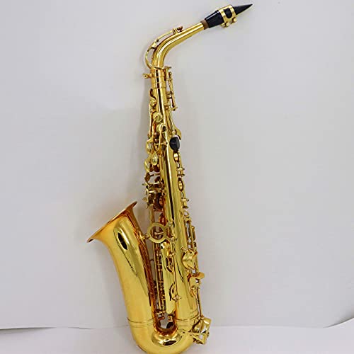 Alto Saxophone Gold Lacquer E Flat Jody Blues JAS-801 Beginner Student Sax with Tuner Mouthpiece Reeds Cloth Rod Pads Case - Thumbnail 3