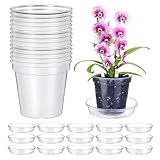 scheurich blumentopf orchidee 💐【Gut sichtbar】Der Orchideentopf ist transparent, sodass Sie jederzeit das Pflanzenwurzelwachstum und die Bodenfeuchtigkeit beobachten können. Im Vergleich zu herkömmlichen Keramiktöpfen eignen sich transparente Orchideentöpfe besser für Anfänger im Orchideenanbau und die Bewässerungsmenge lässt sich leicht steuern. Das transparente Kunststoffmaterial und die seitlichen Rillen ermöglichen Pflanzen eine bessere Photosynthese, steigern die Vitalität der Orchideenwurzelsysteme und machen sie kräftiger. Der klare Orchideentopf passt auch zu jeder Dekoration.