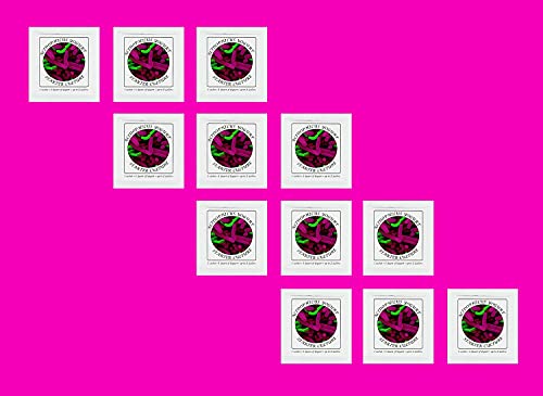 Joghurtferment für Acidophilus-Joghurt – 12 Beutel gefriergetrockneter Starterkulturen (12 Beutel)