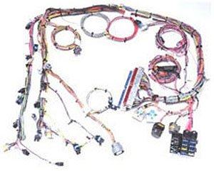 Painless 60219 Fuel Injection Wiring Harness