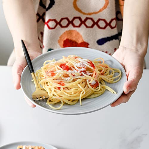 Hasense Porcelain 7.5 Inches Appetizer Plates Set Of 4, Salad Plates Ceramic Dessert Dishes For Pizza Pasta Maincourse, Microwave Dishwasher Safe #TOP2