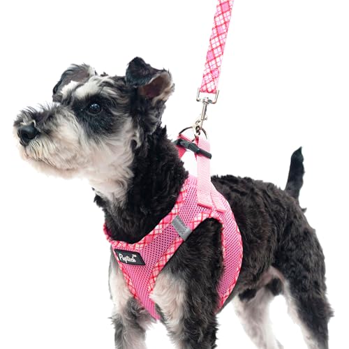 PUPTECK Step-in Dog Harness Small Dog No Pull Vest and Lead Set for Puppy Cats Outdoor Walking Pink L