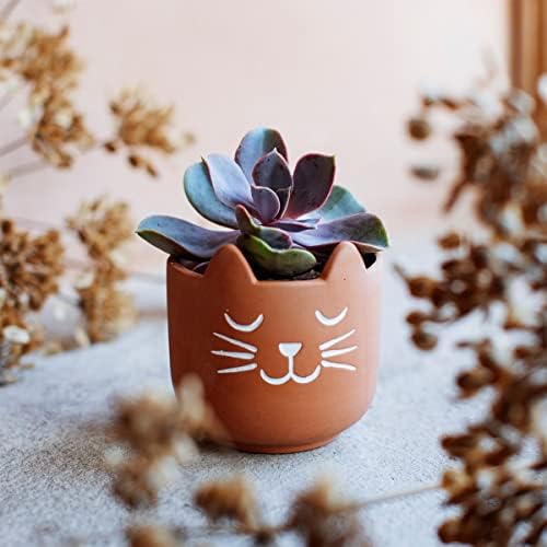Sass & Belle Mini Cat's Whiskers Terracotta Planter