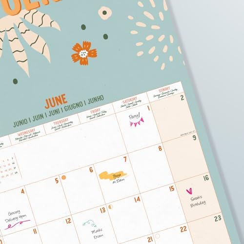 Grupo Erik Amelie Wall Calendar 2024 12" x 12" | 12 Month Planner | Square Wall Calendar 2024 | Family Planner Calendar 2024 | Motivational Calendar 2024 | + 4 Bonus Months