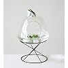 Creative Co-Op Ceramic Frog Figurine