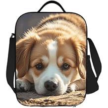 Insulated Lunch Bag For Women Men, Large Reusable Lunch Box Leakproof Cooler Tote Bag With Adjustable Shoulder Strap Lazy Dog Puppy Food Carrier For Work Travel Picnic